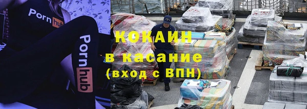 молекула духа Пестово